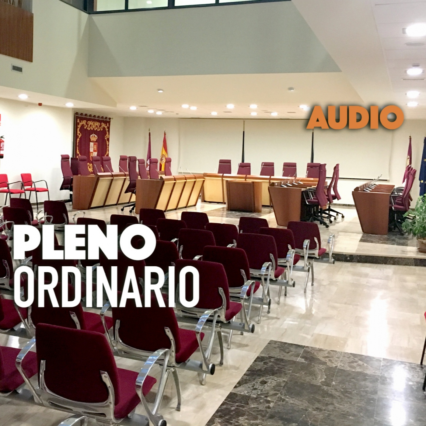 Pleno Ordinario del 26 de enero de 2023 episode artwork