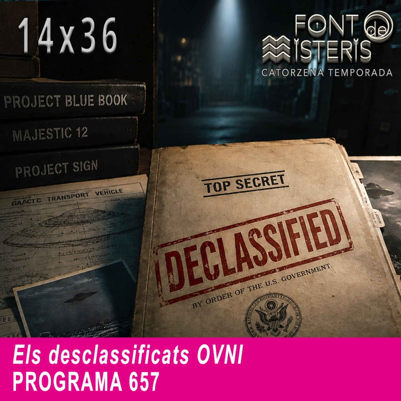 Els desclassificats OVNI | Font de Misteris 14x36 (657)