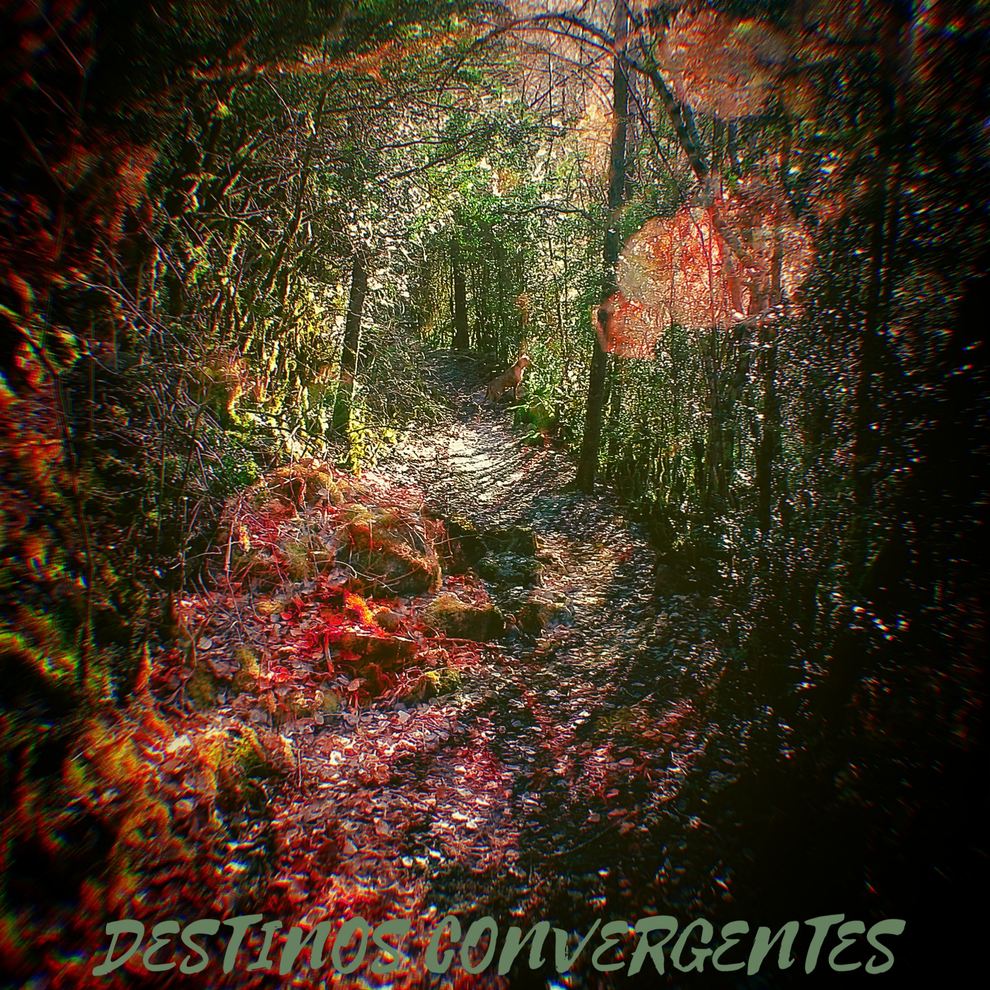 Destinos Convergentes episode artwork