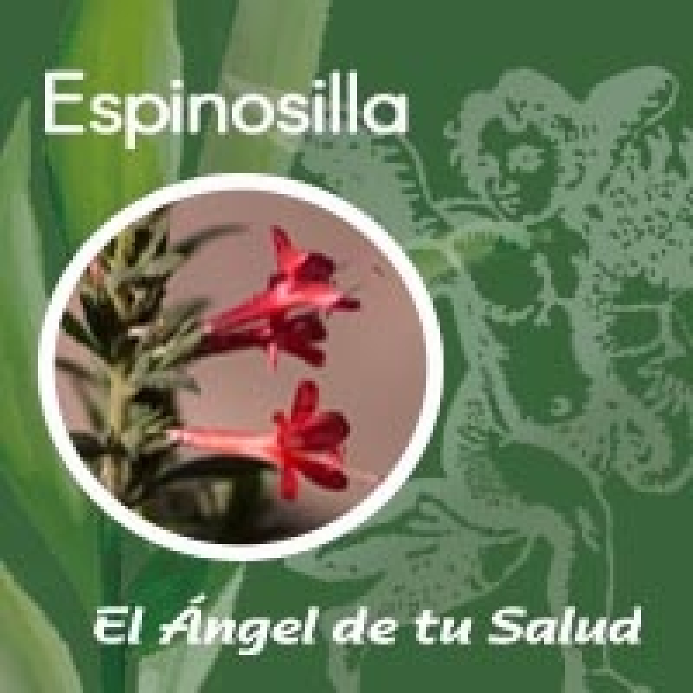 El Ángel de tu Salud - Espinosilla**