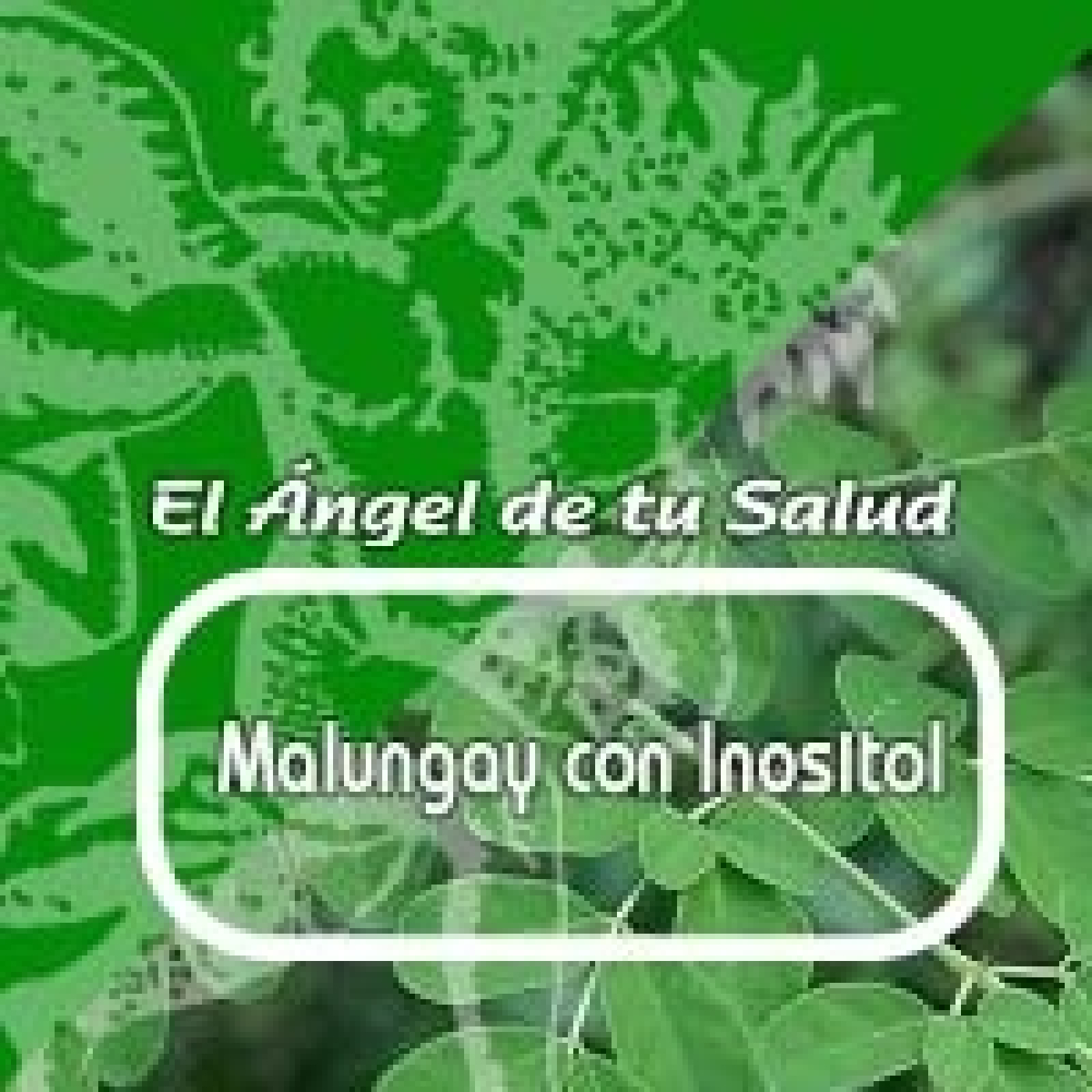 El Ángel de tu Salud - MALUNGAY CON INOSITOL *** episode artwork