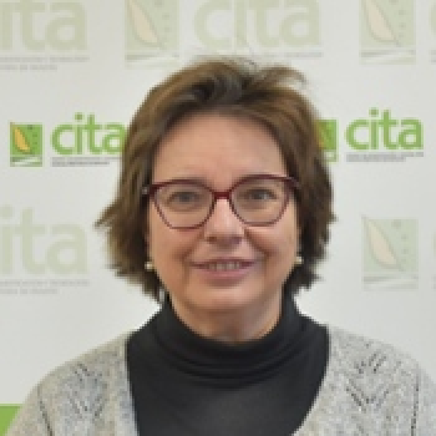 CITA de Aragón: Apariciones en radio