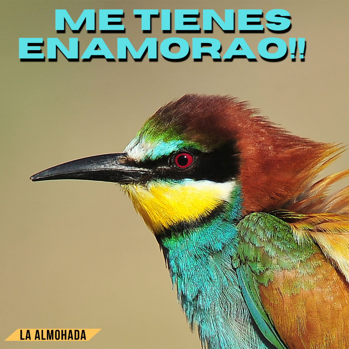 La almohada