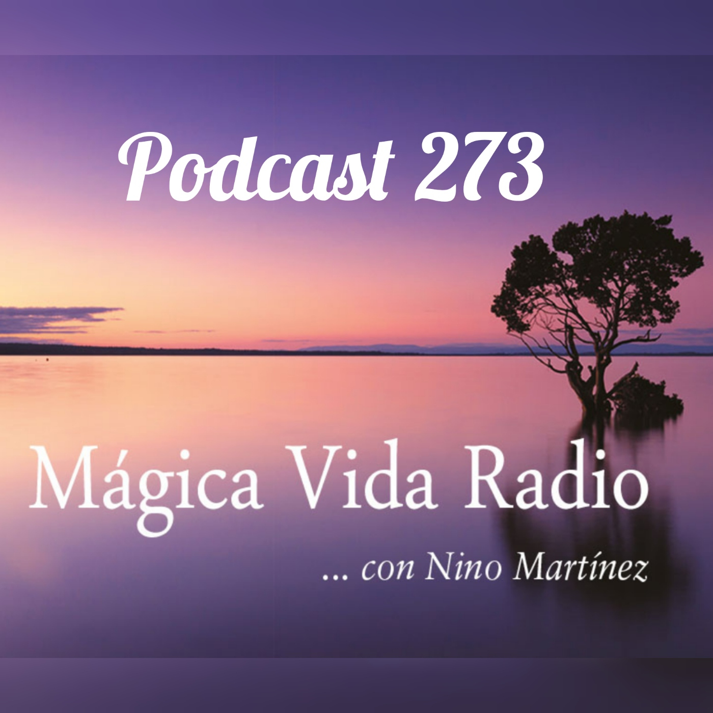 Mágica Vida Radio