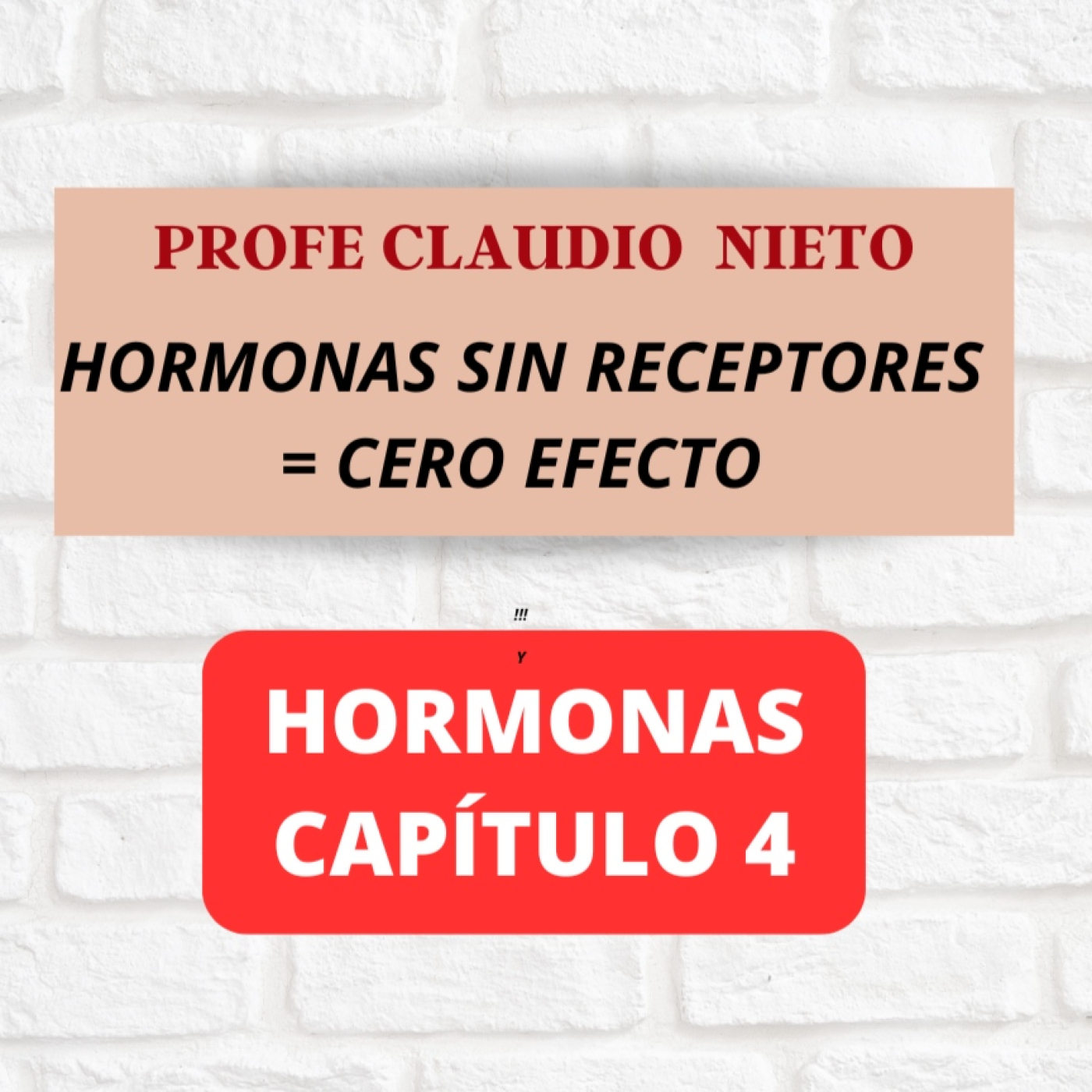 238. HORMONAS 4: ¿Por qué tus hormonas no funcionan? La clave está en el receptor