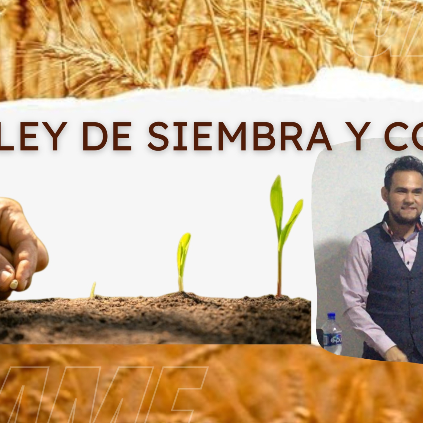 Predicaciones DR
