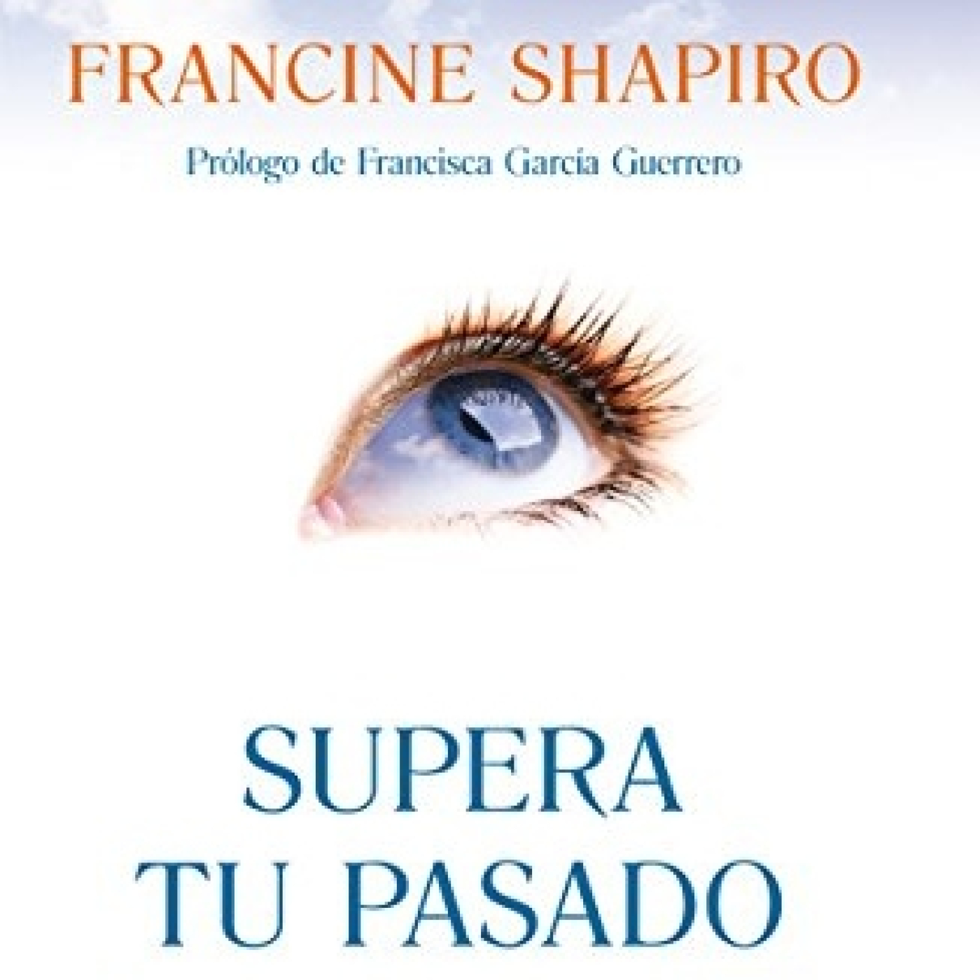 Salvador Mingo -Conocimiento Experto-