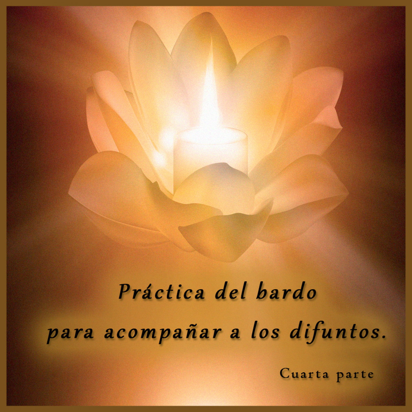 Meditación y Reflexión con Pedro Valencia