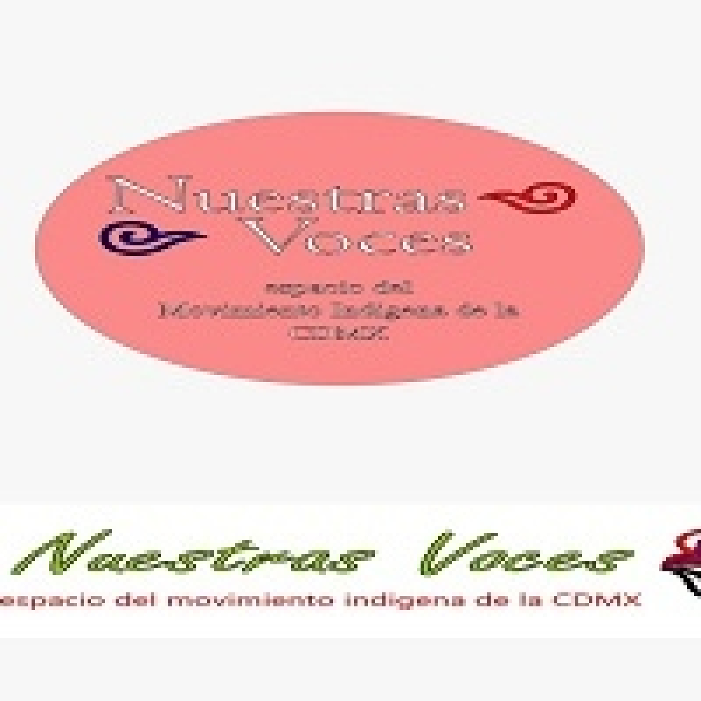 Nuestras Voces 02032026 p 388