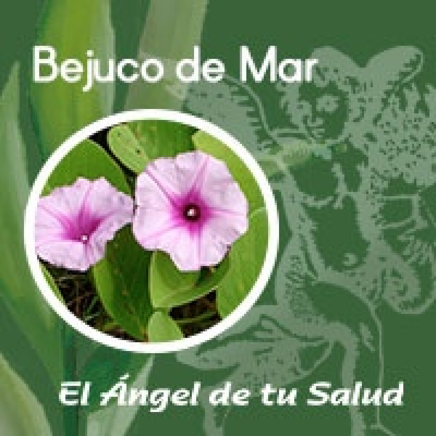 El Ángel de tu Salud - Bejuco de Mar** episode artwork