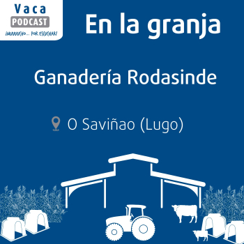 En la granja: Ganadería Rodasinde
