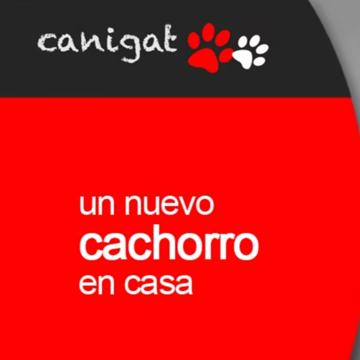 Consejos veterinarios de perros y gatos by canigat