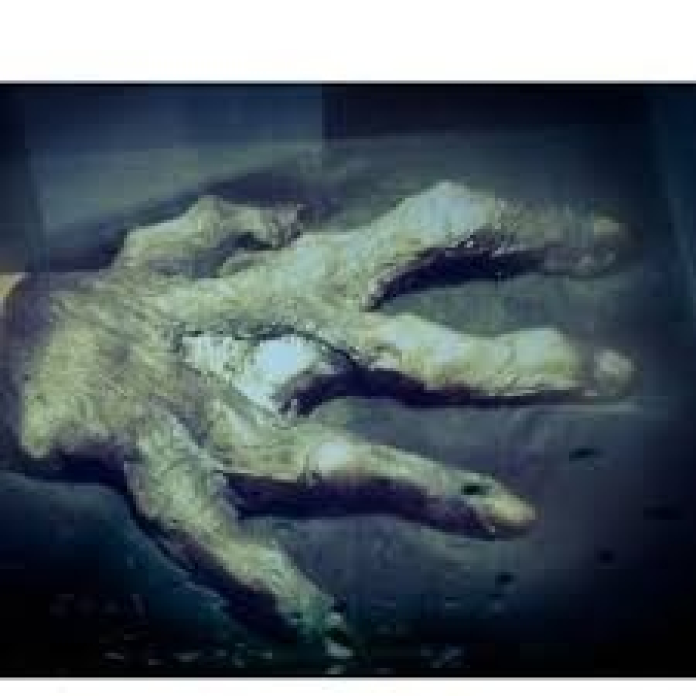 NOVELAS DE AGATHA CHRISTIE