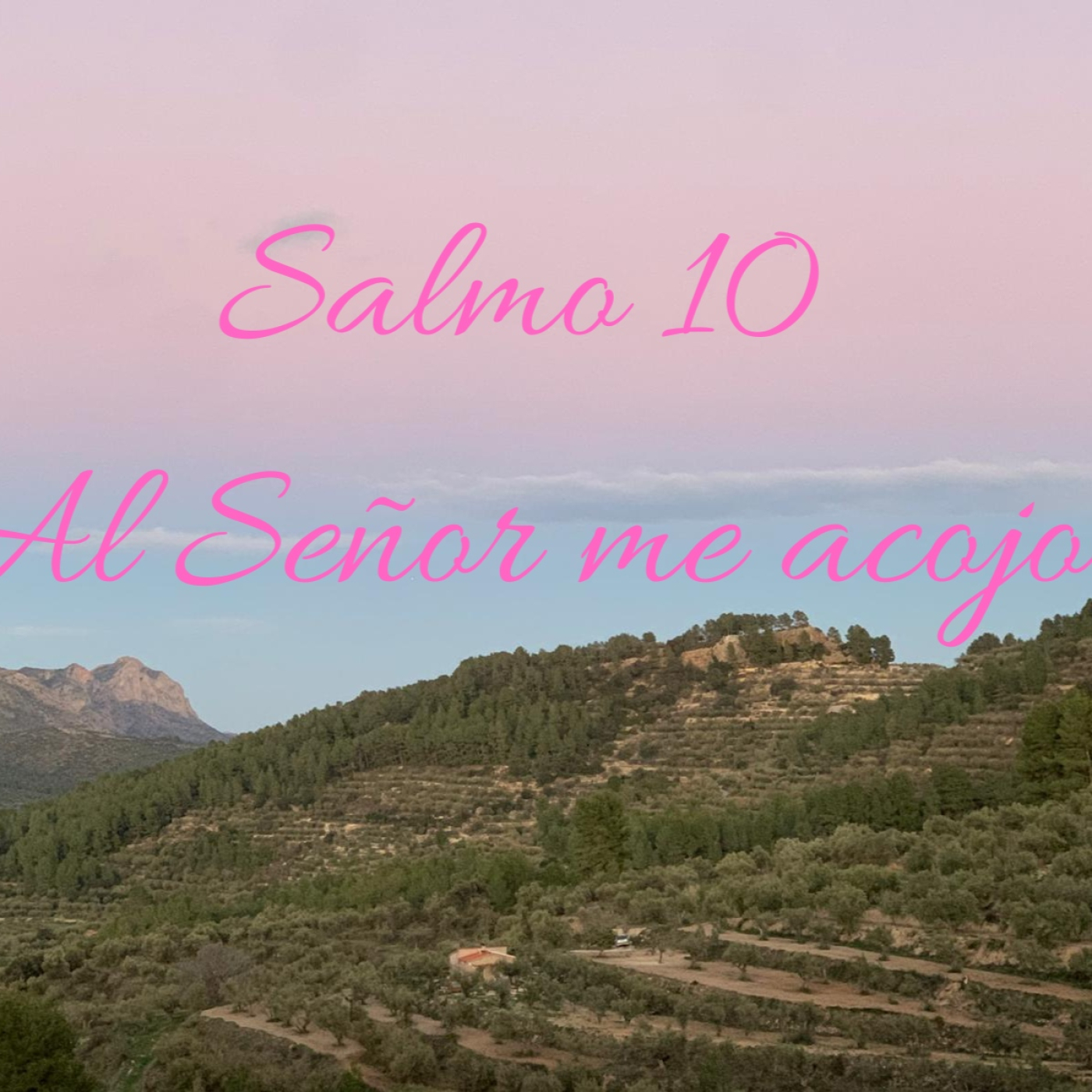 salmo 10 episode artwork