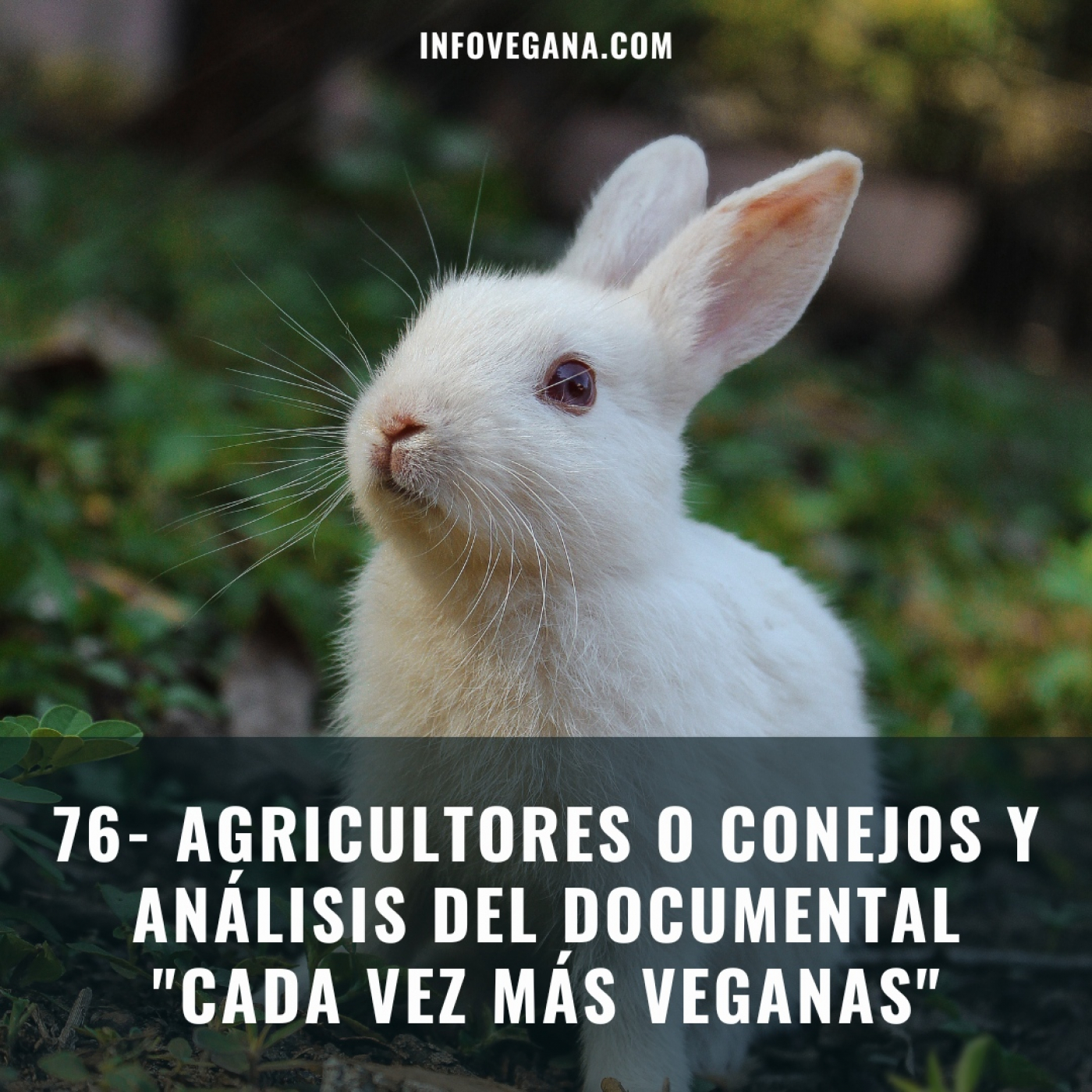 Infovegana, podcast de veganismo y sostenibilidad