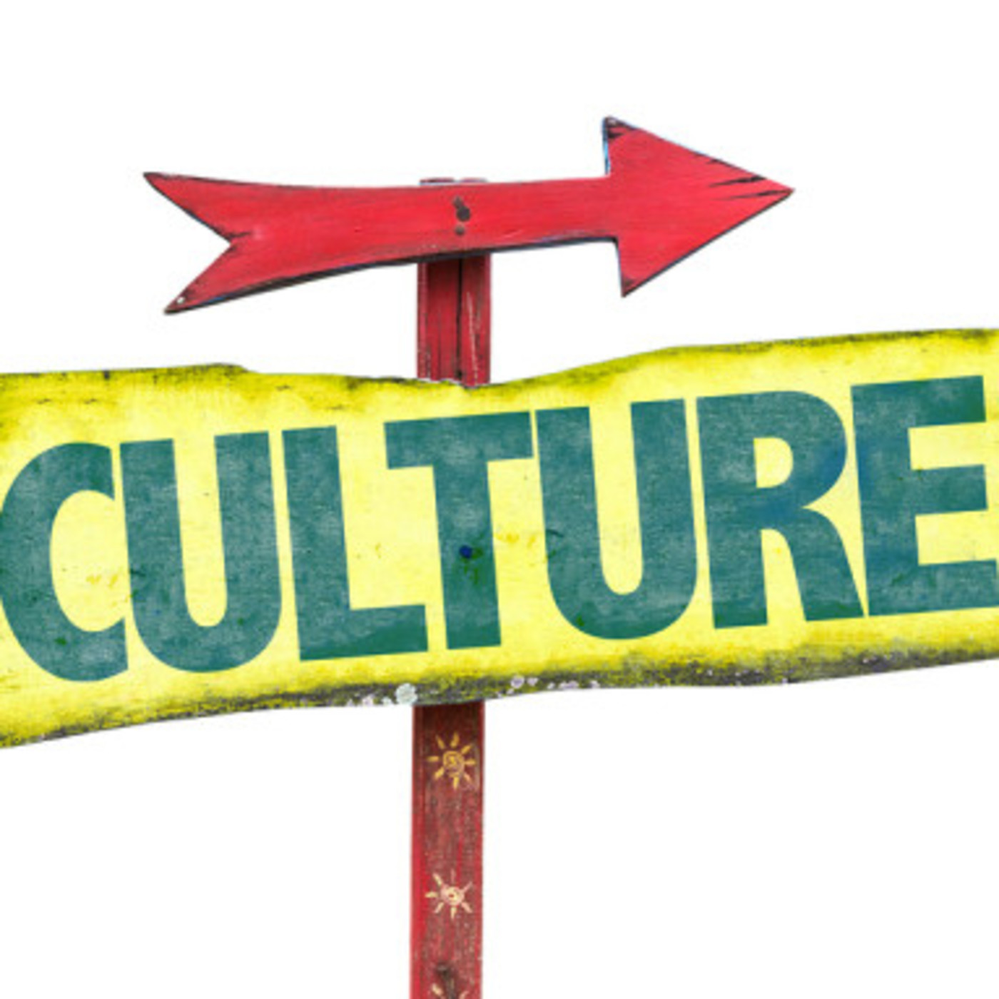 La Plaça - El Cultureta - El Cultureta Adolescent