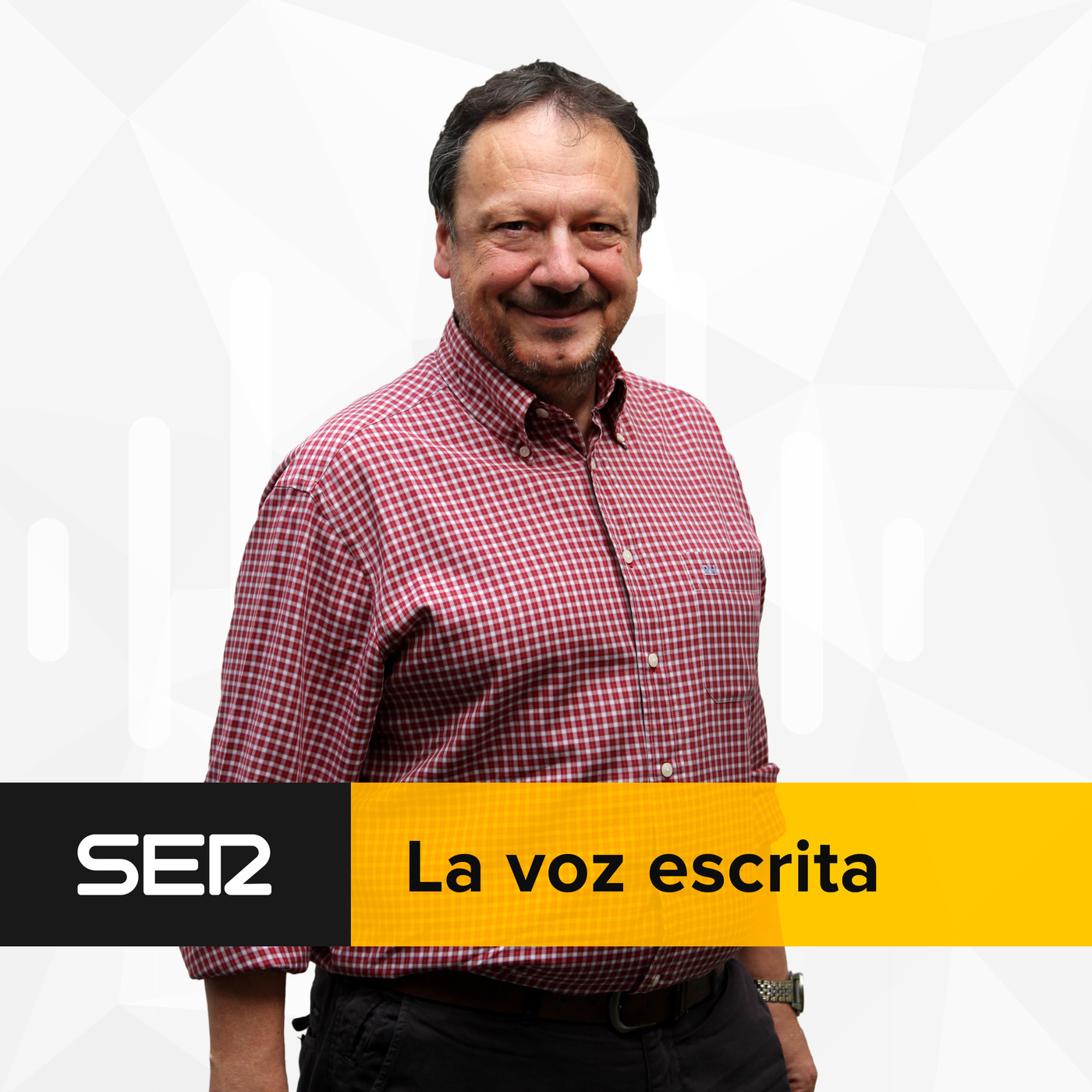 La voz escrita