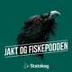 #19 Er du klar for duejakt?