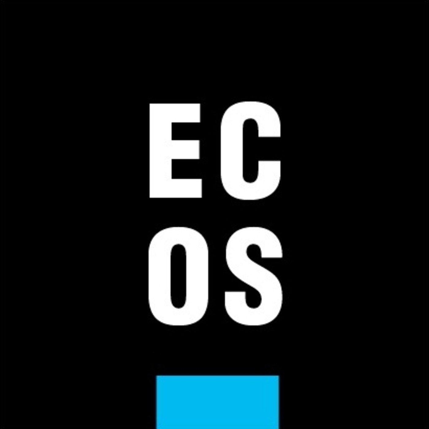 Ecos del Balón