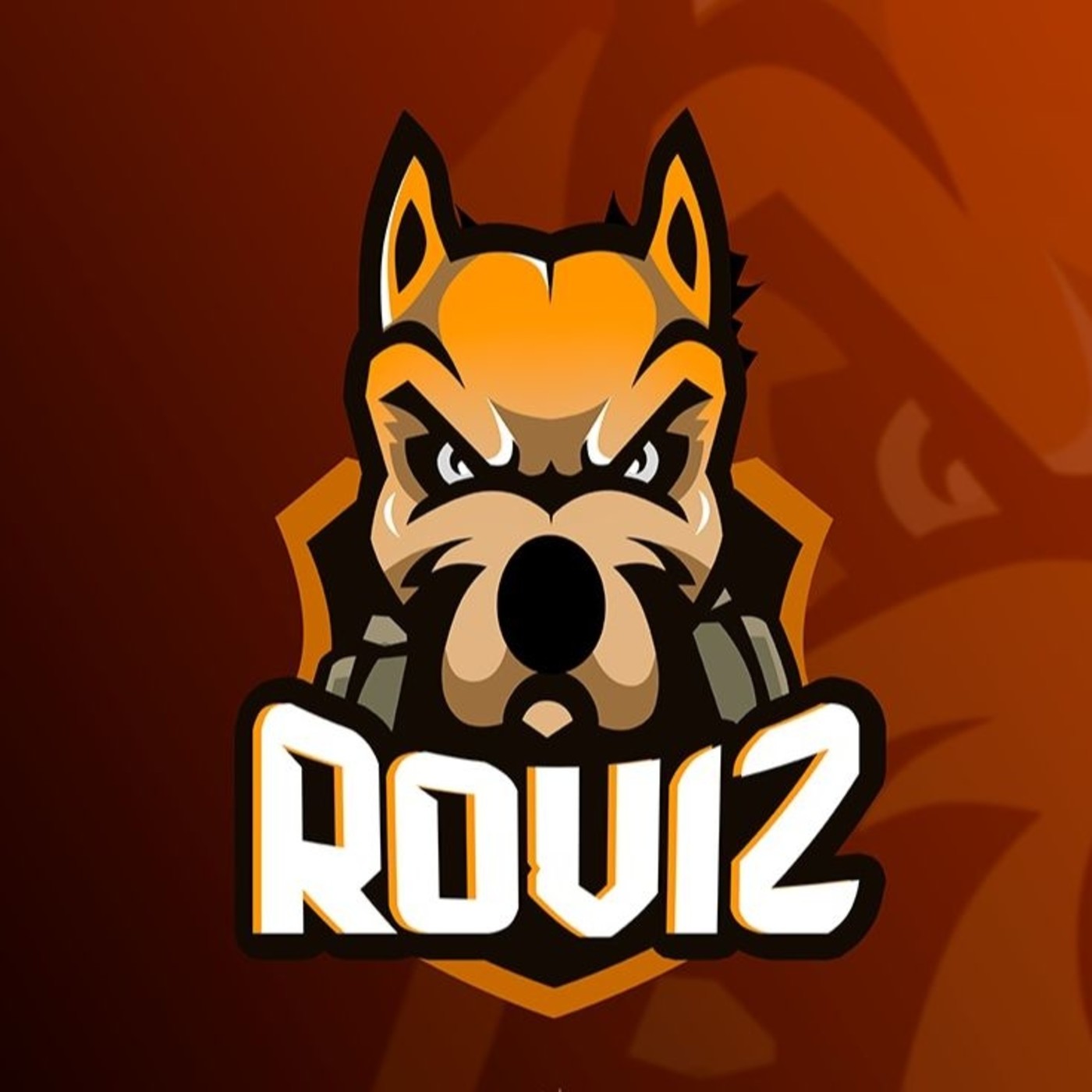 Dj Roviz - Mixes