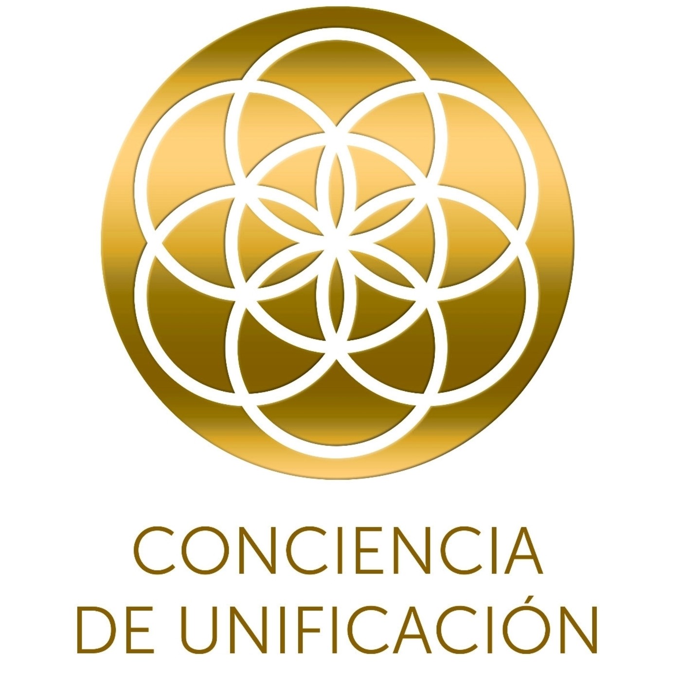 Conciencia de Unificación