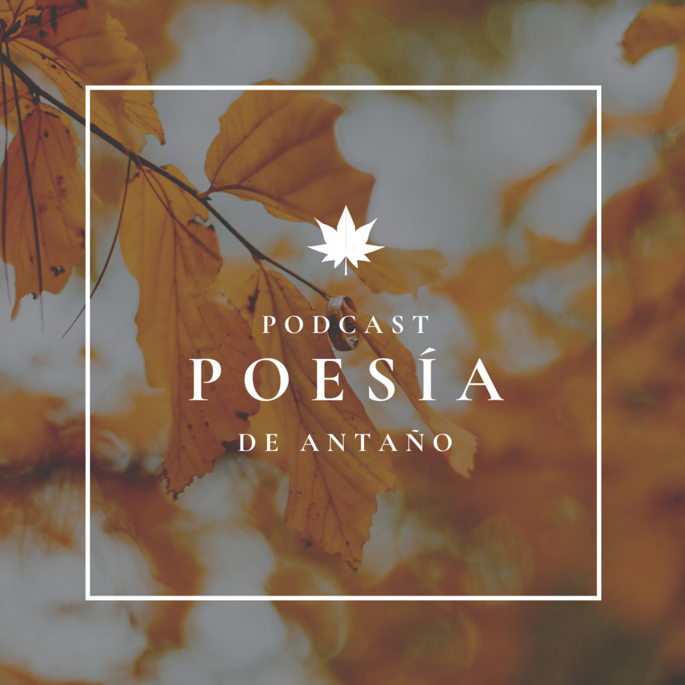 Poesía de Antaño