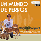 En Un Mundo de Perros con Borja Capponi y Cristina