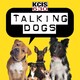 6/2/20 - Dog Tricks