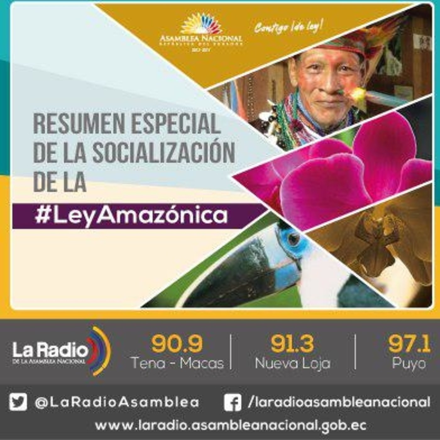 Proyecto de Ley Amazónica