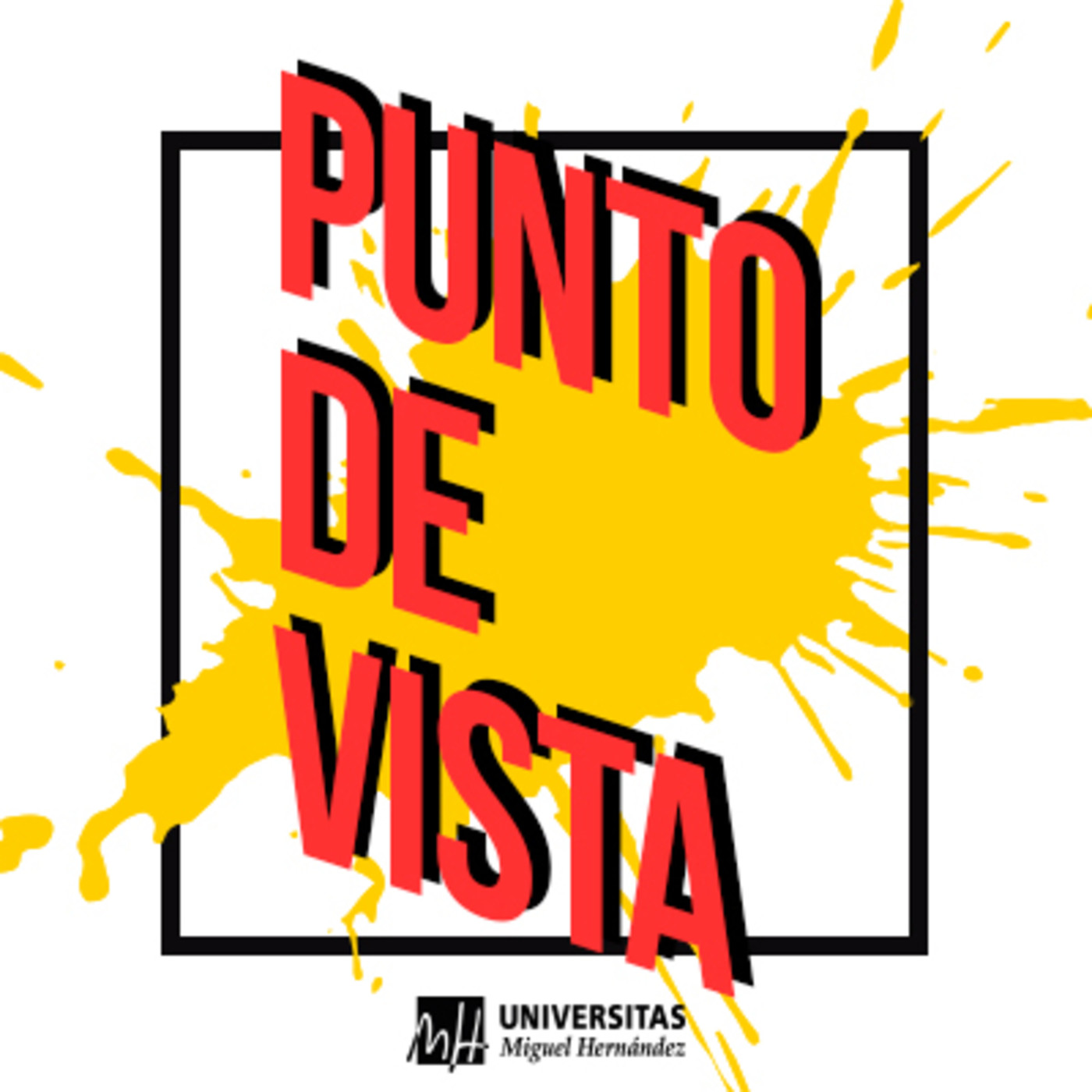 Punto de vista