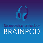 Chronic opioid pretreatment potentiates the sensitization of fear learning by trauma
