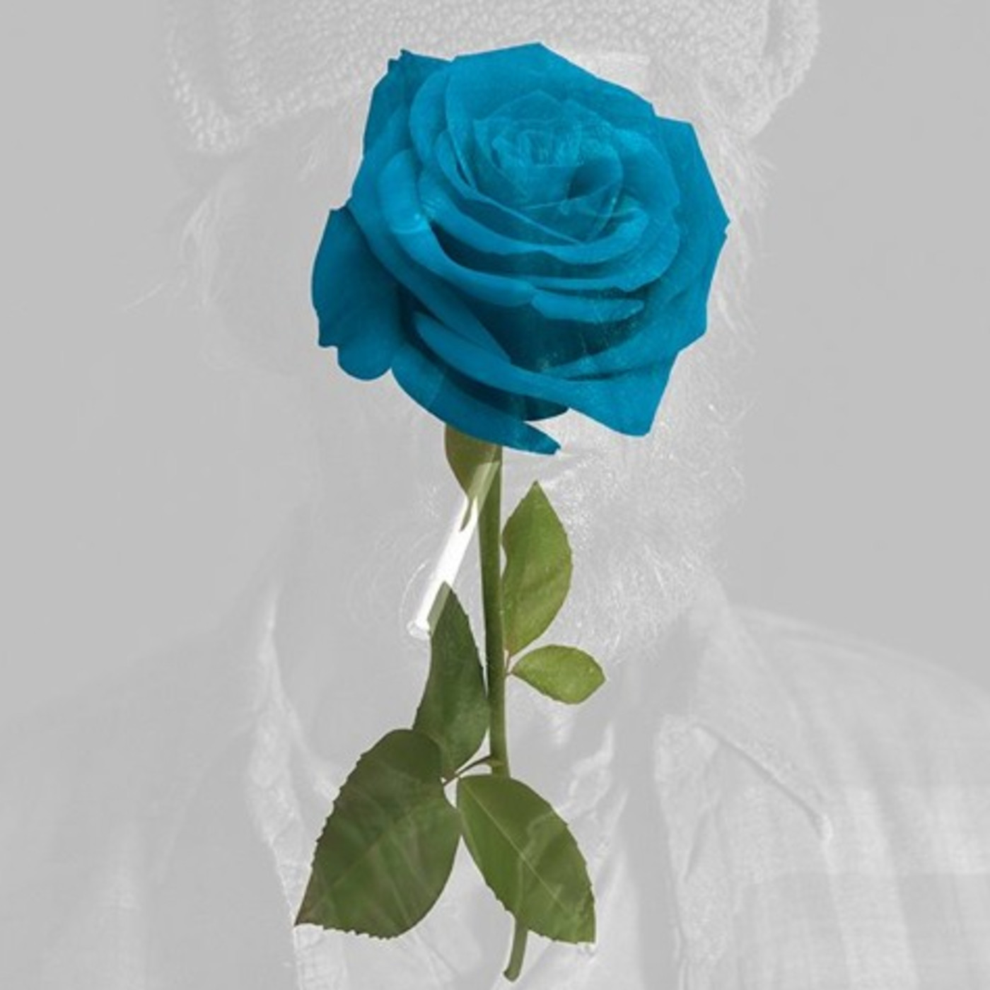 Picnic Lodge Podcast