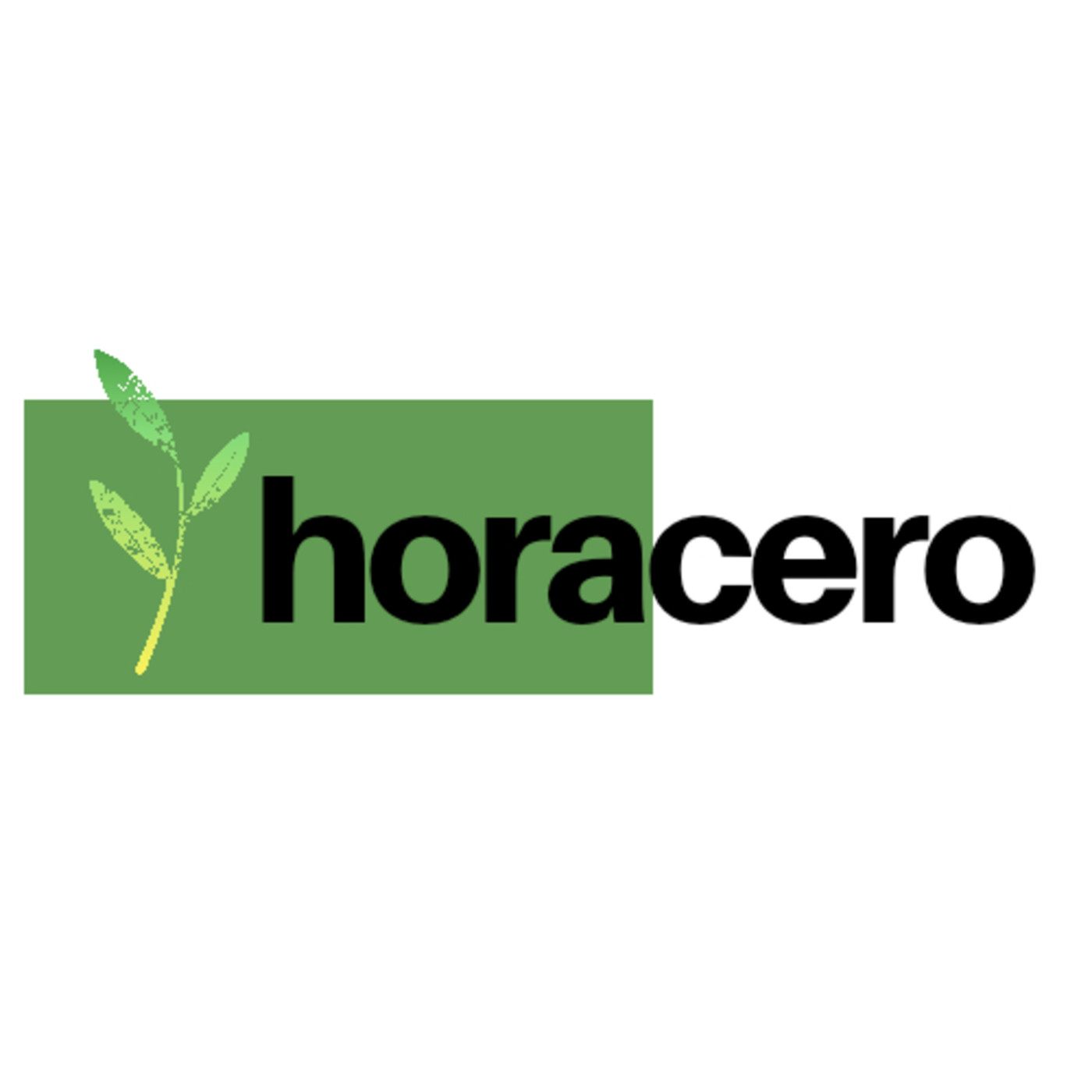 Hora Cero