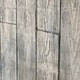 Las Puertas de la Percepción