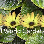 Real World Gardener Creating A Sense of Enclosure in Design Elements
