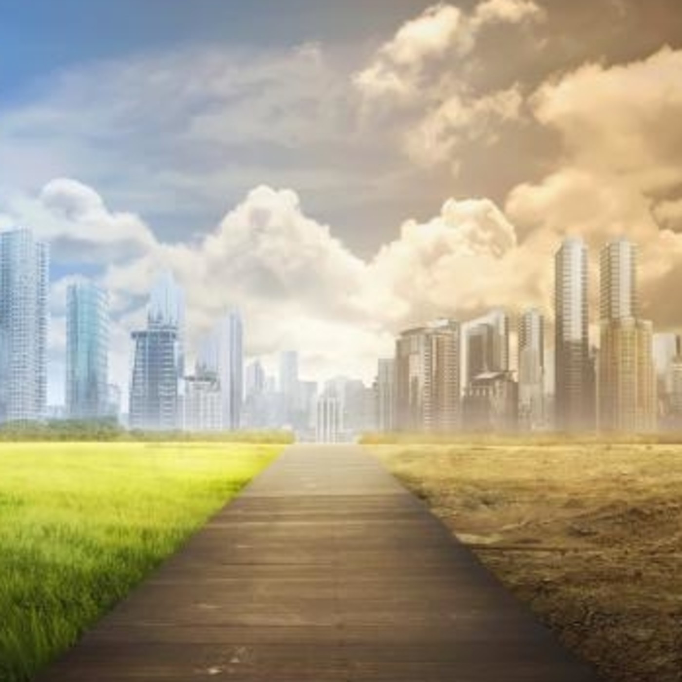 La Contaminación ambiental  