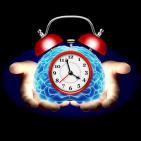 El Despertador Consciente