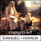 Diumenge III (A) d'Advent