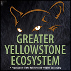 Episode 36: How Animals End Up In Sanctuaries