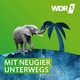 NRW-Tipp: Rheine