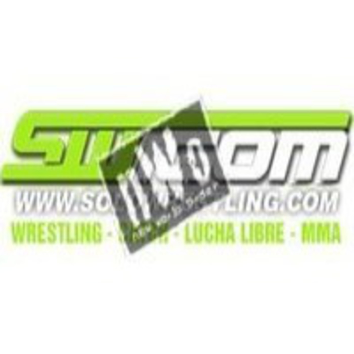 Podcast SoloWrestling nWo Podcast