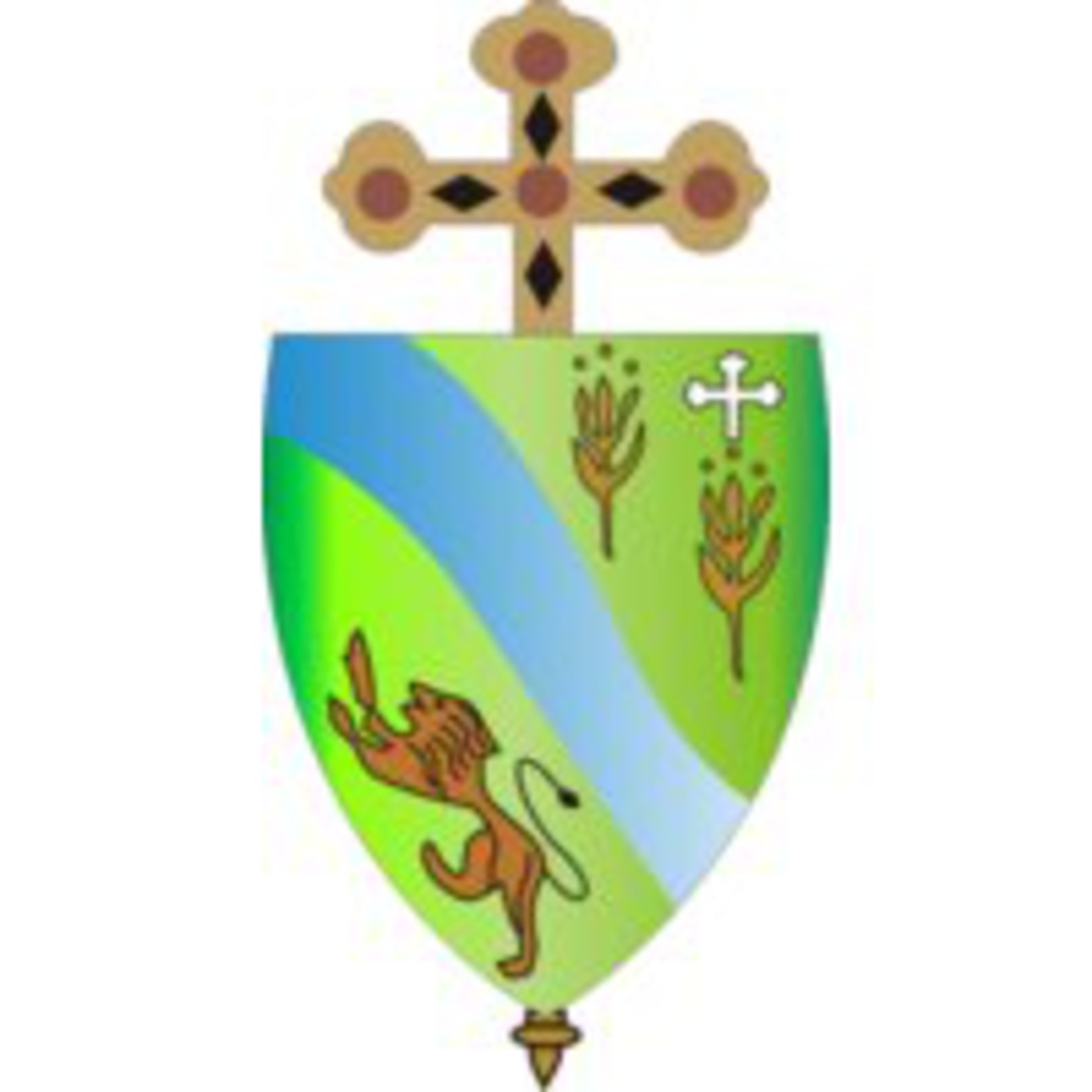 Vive la evangelización (30-Jun-2013)