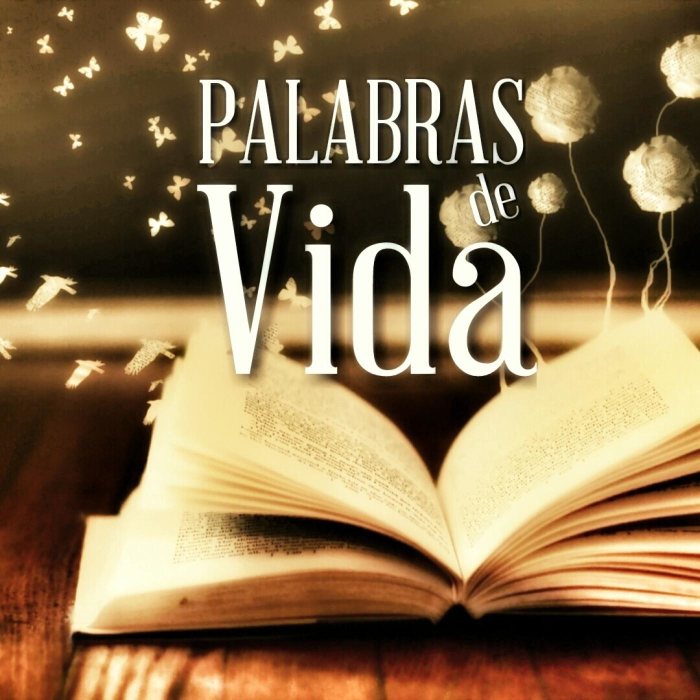 Pan Diario Podcast