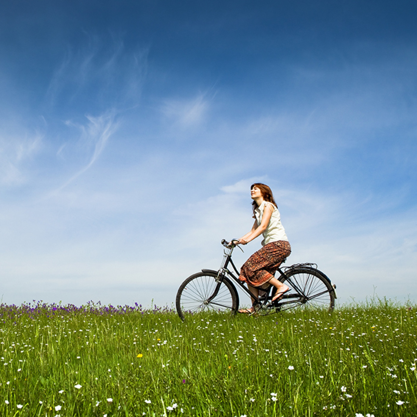 Aula Interior Evergreen