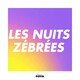 Sims (Samples) aux Nuits Zébrées