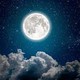 entre las olas y la luna
