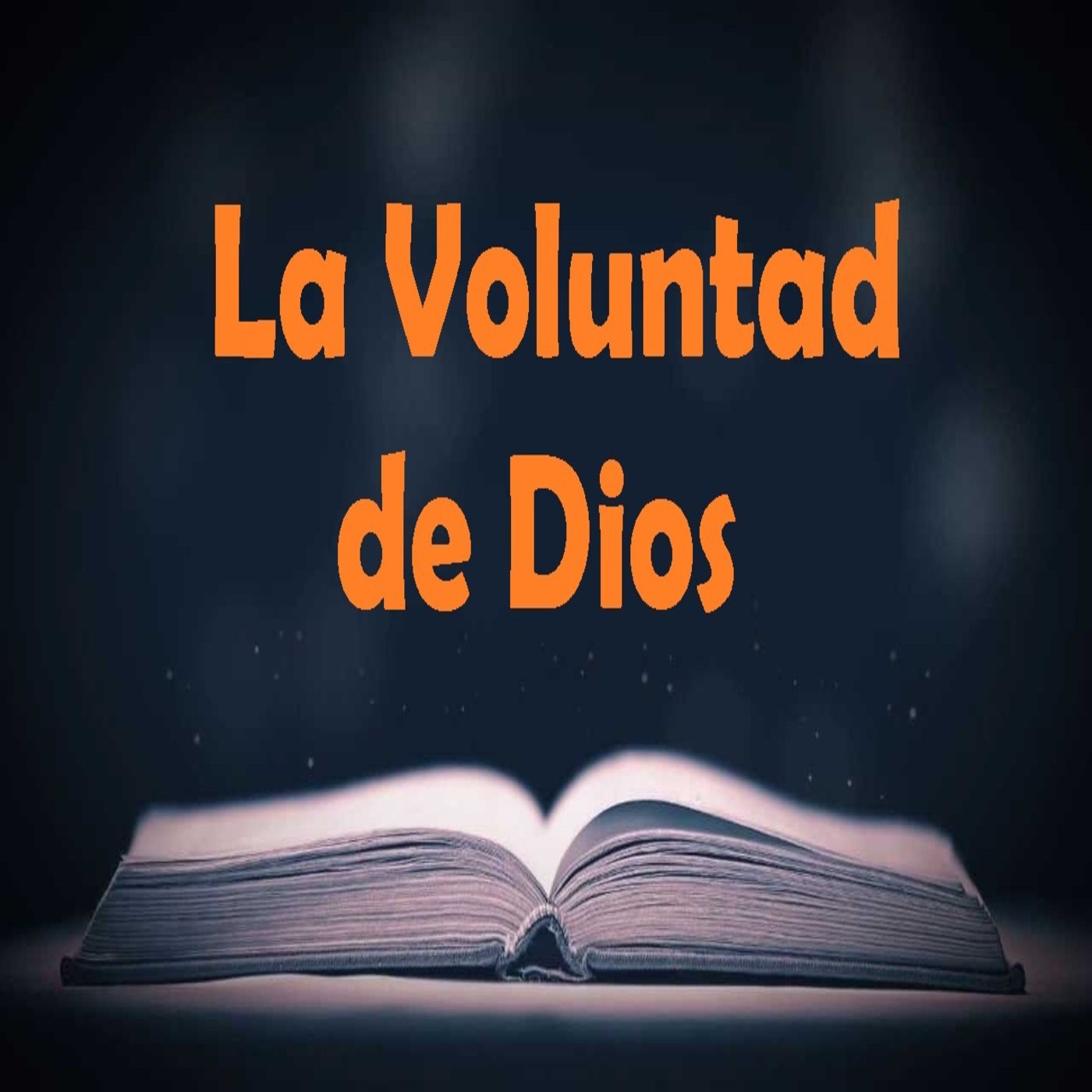 04 Su Voluntad formándose en Nosotros