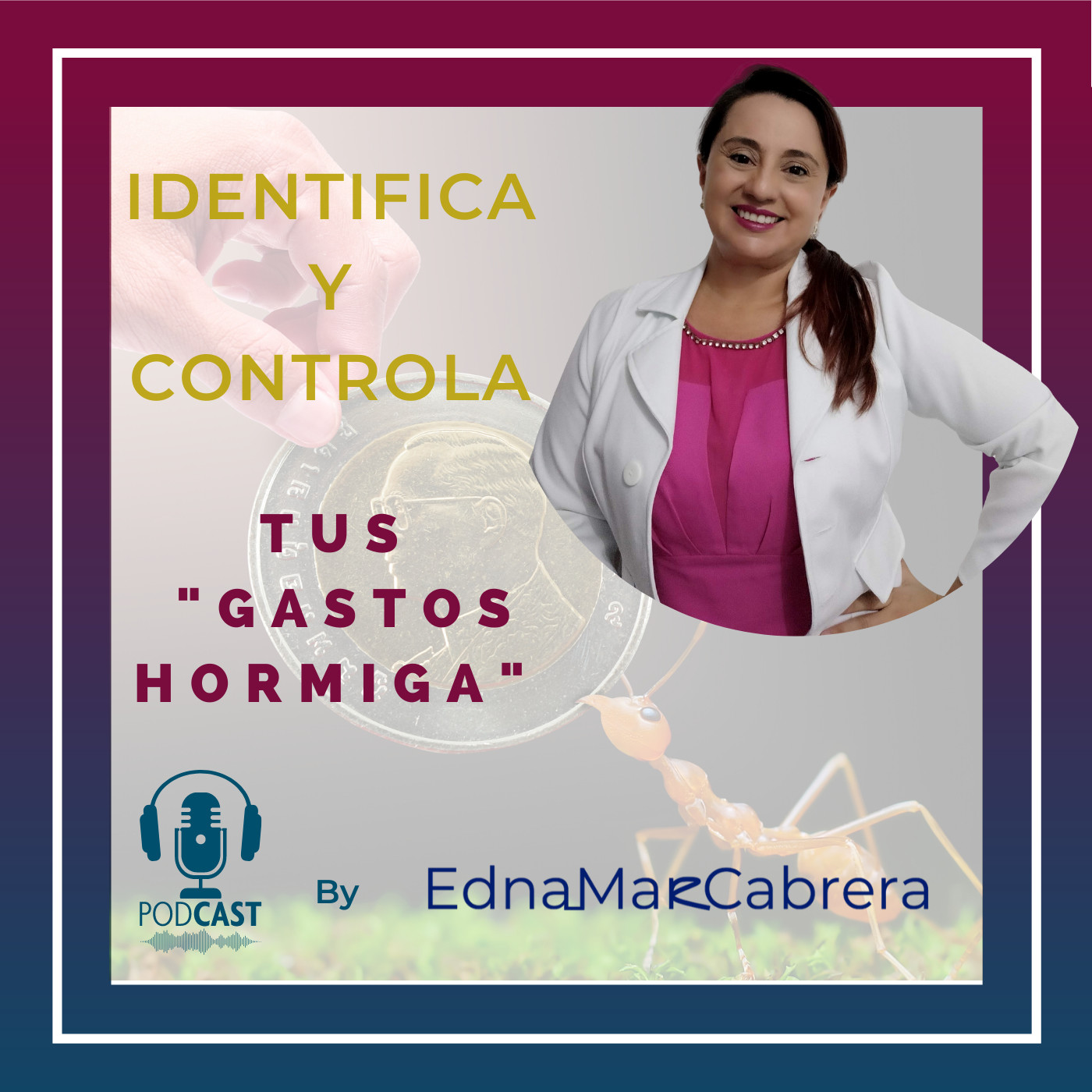 IDENTIFICA Y CONTROLA TUS GASTOS HORMIGA