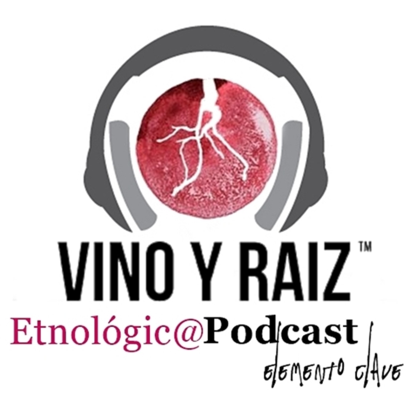 Vino y Raíz - Bodegas Caudalía. Vibraciones y vinos diferentes. La Historia.