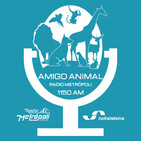 Amigo Animal - 16 de Marzo de 2019